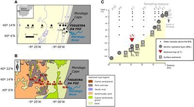 New physical and biological evidence of lateral transport affecting dinoflagellate cyst distribution in the benthic nepheloid layer along a land-sea transect off Figueira da Foz (Atlantic Iberian margin)